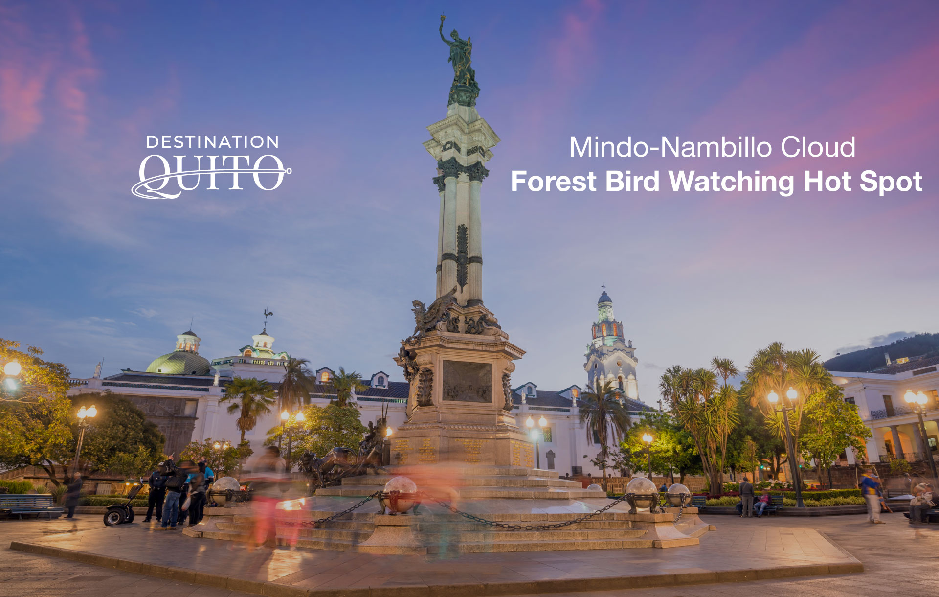 Mindo-Nambillo Cloud Forest Bird Watching Hot Spot